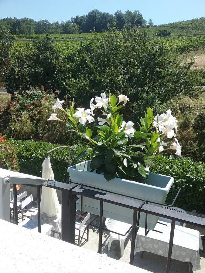 La Terrazza Del Barbaresco Bed & Breakfast Neviglie ภายนอก รูปภาพ
